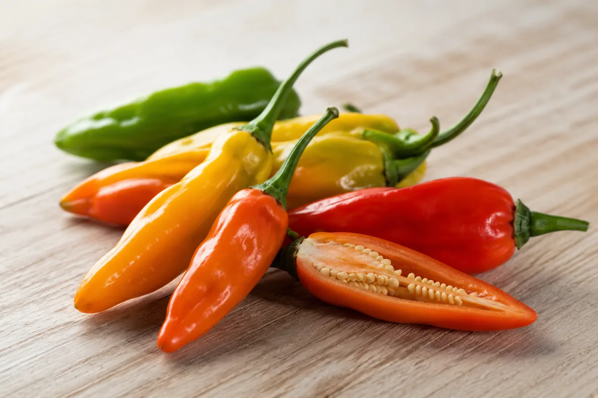 Small, colorful ají limo chiles