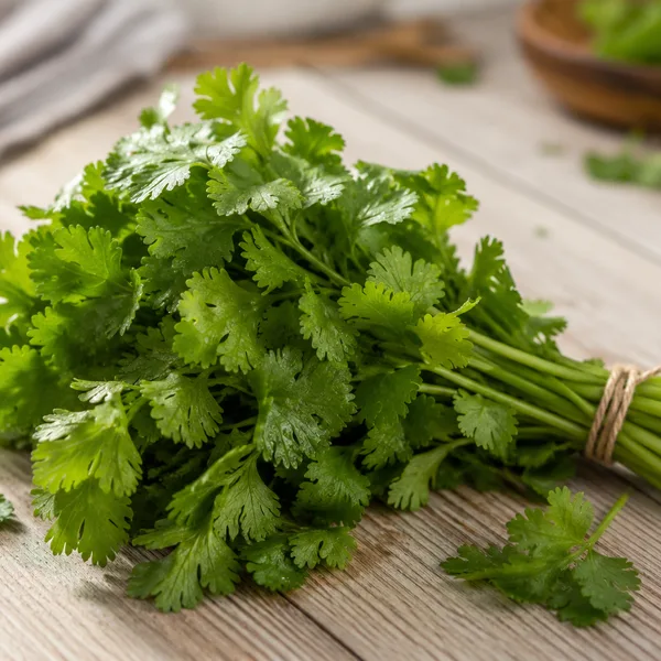 Fresh culantro, long serrated leaves