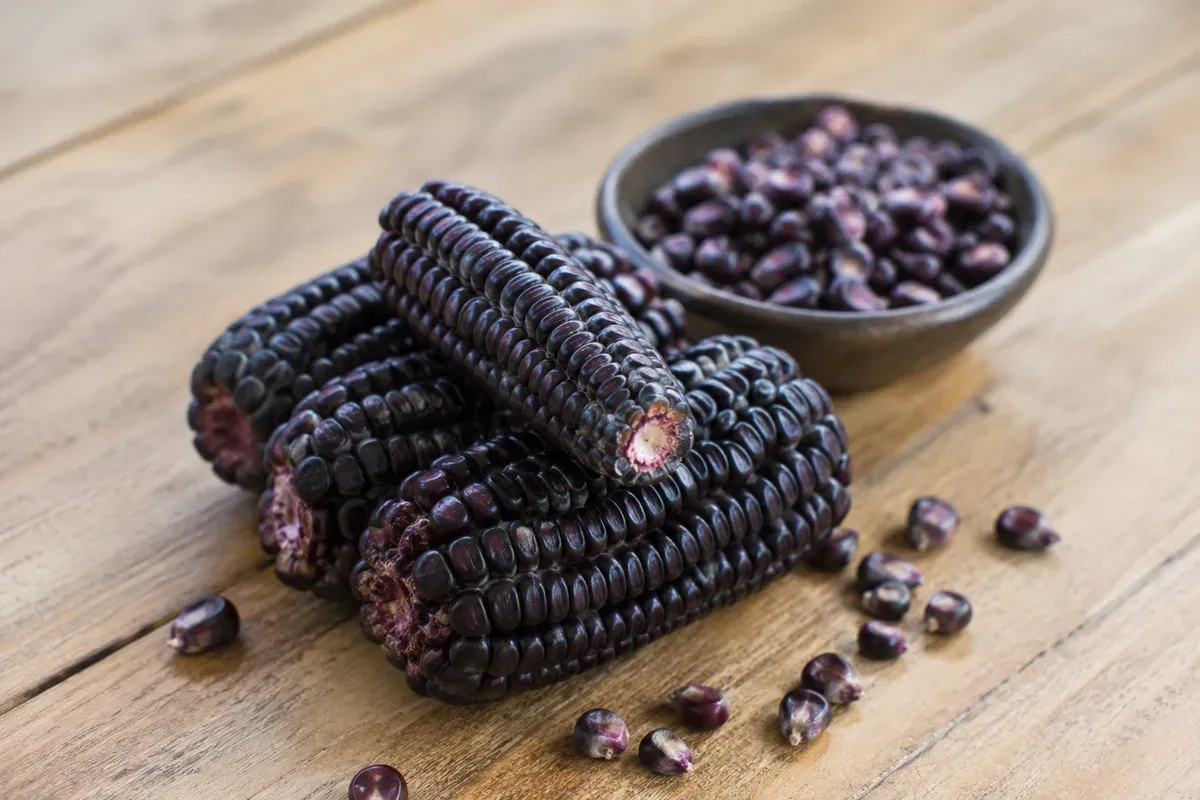 Ears of deep purple maíz morado stacked at a market stall